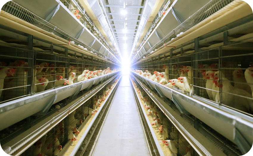 クレフォートファーム